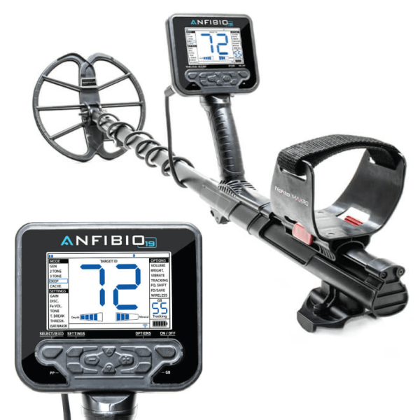Anfibio 19